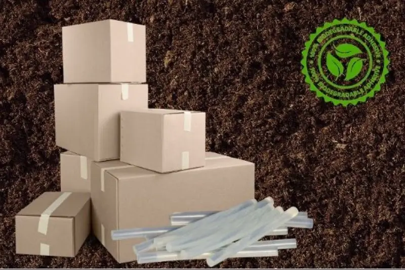 Validated Compostable Hot Melt Adhesive for Packaging Applications